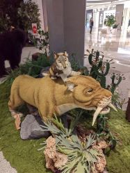 -IMON·HANSA潮玩玩偶毛绒玩具(通州万象汇店)