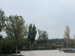 -石家庄极地海洋世界