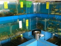 水产区-沙头涌渔栏海鲜餐厅