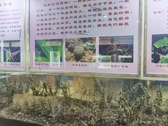 -上海昆虫博物馆