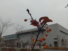 -回龙观体育文化公园