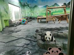 -秦皇岛野生动物园