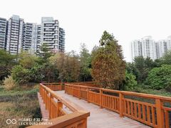 -广东花都湖国家湿地公园