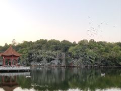 -广州莲花山旅游区