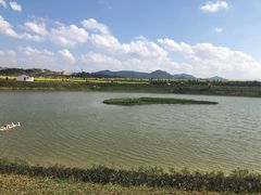-光明小镇欢乐田园