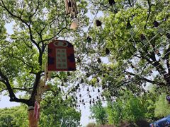 -东方绿舟景区