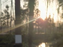 -合肥滨湖国家森林公园