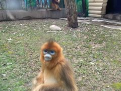 -西安秦岭野生动物园