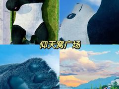 -都江堰景区