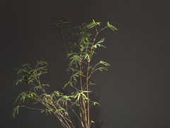 -荷栖小院·品质江西菜(红谷滩店)