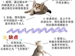 -lincat·猫舍(广州店)