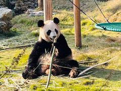 -杭州野生动物世界