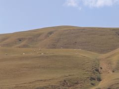 -天梯山石窟