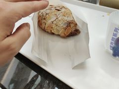 -TD66高山铁皮石斛养生茶饮