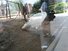 -陕西自然博物馆