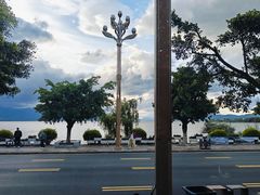 -野菌皇海景野生菌火锅(滨海大道店)