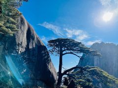 -黄山风景区