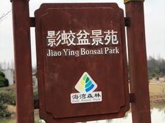 景点-上海海湾国家森林公园