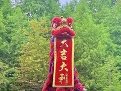 -泗洪洪泽湖湿地景区