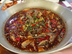 香辣泥鳅-靓蛙馆