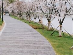 -羊山湖公园