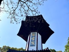 -上海佘山国家森林公园天马山园