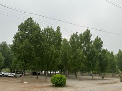 -窦王岭景区游乐场