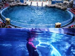 -郑州海洋馆