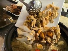 -蘑统田下·野生菌火锅