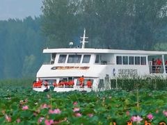 -微山湖红荷湿地景区