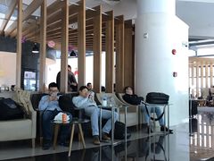 -虹桥机场国航贵宾室v8