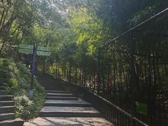 -常德桃花源景区