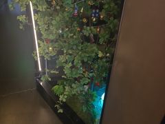 -水秀坊·足道 SPA (巨鹿店)