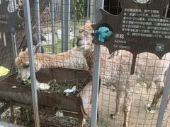 -意大利农场度假村