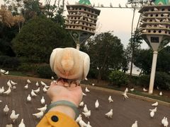 -南昌之星摩天轮