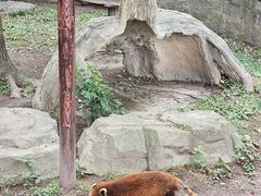 -上海野生动物园