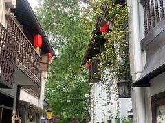 -运河游船(武林门码头)