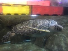 -福州罗源湾海洋世界旅游区