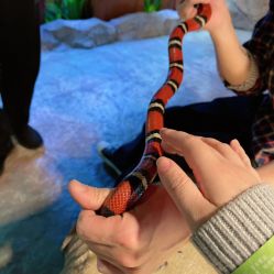 -酷嗒动物文化乐园(cutezoo西溪乐天城店)