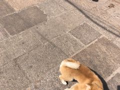 -葑门横街