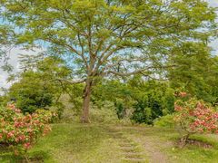 -中国科学院西双版纳热带植物园