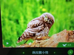 -四川大学博物馆