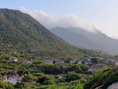 -杨梅坑