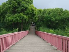 -美兰湖景区
