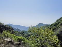 -大岭沟猕猴桃谷风景区