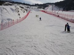 -太子岭滑雪场