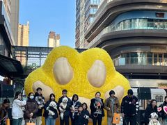 -佛山京华广场MALL