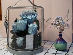 -星光摄影器材城