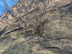 -太和山风景区