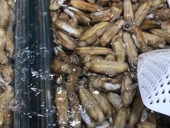 -盒马鲜生(文景博乐里购物广场店)